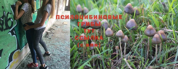 синтетический гашиш Кинешма