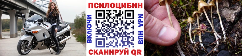 Галлюциногенные грибы мухоморы цена Сухой Лог