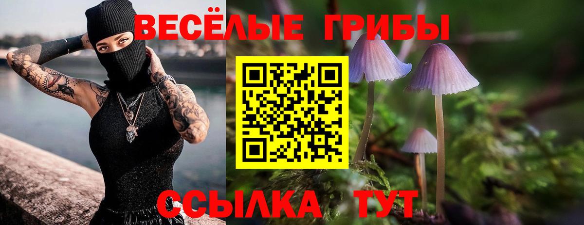 Сухой Лог  Галлюциногенные грибы ЛСД  Вход с VPN 